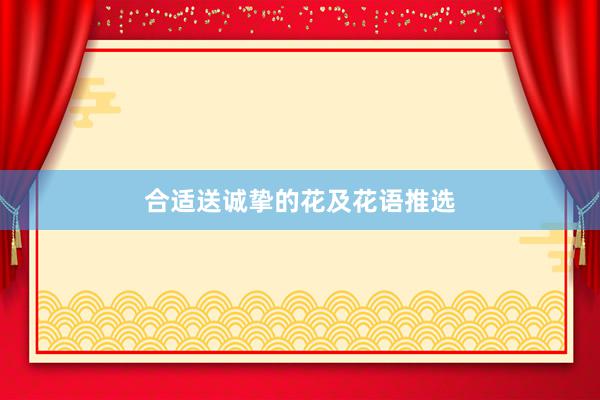 合适送诚挚的花及花语推选