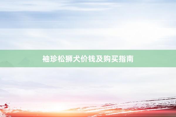 袖珍松狮犬价钱及购买指南